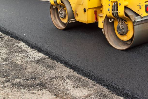 Best Local Driveway Pavers  in Pecatonica, IL